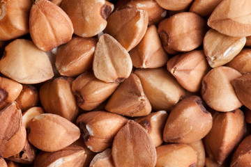 buckwheat background