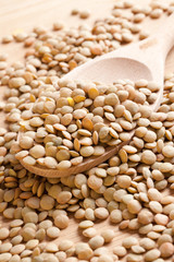 lentil on wooden spoon