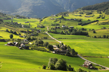 Fields near Ulvik on Hardangerfjord © davidyoung11111
