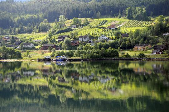 Reflections in Hardangerfjord at Ulvik, Norway