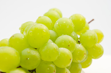 マスカットのアップ