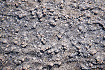 Schwedische Schärenküste