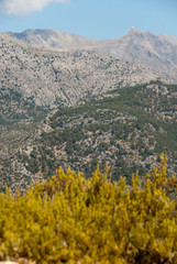 Serra Tramuntana