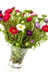 bouquet of asters