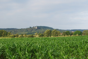 Fototapeta na wymiar Landschaft mit Schloss und Maisfeld