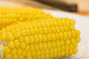 sweetcorn close up