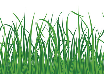 Grass background with seamless edge. Vector