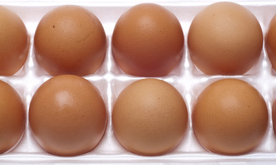 Brown Eggs
