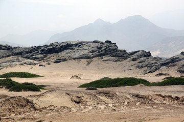 Mount and desert
