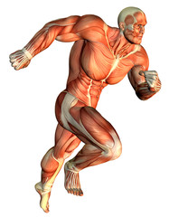 Muskel rennender Body Builder