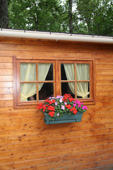 Log cabin with flowers at window