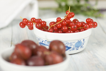 Johannisbeeren scharf