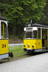 Kirnitzschtalbahn (Bad Schandau)