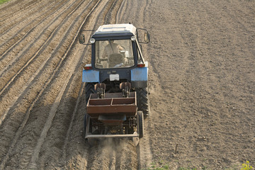 Potato planting