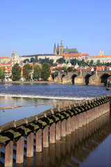 Prague summer gothic Castle with the Charles Bridge