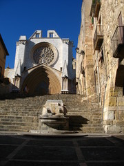 La Catedral de Tarragona 4