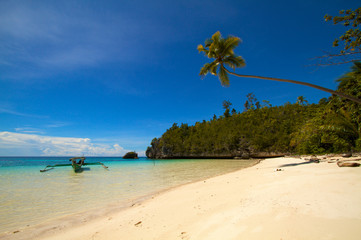 Paradise white sand blue water tropical island beach