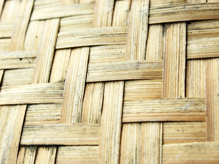 Bamboo pattern.