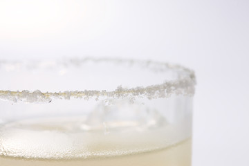 ソルティードッグ