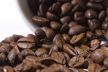 Kaffeebohnen/Coffee beans