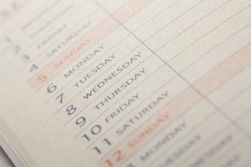 スケジュール表