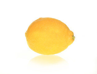 Lemon on white background