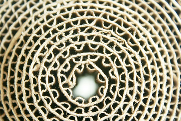 Corrugated paper rolls.