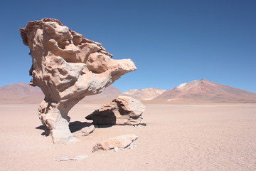&Aacute;rbol de Roca en Sud L&iacute;pez