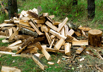 firewood