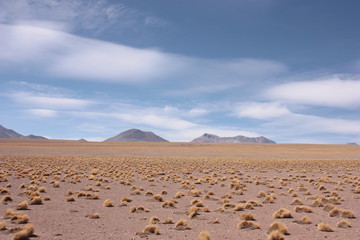 Desierto de Silol en Sud L&iacute;pez