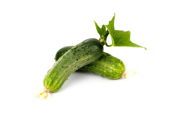 Cucumbers