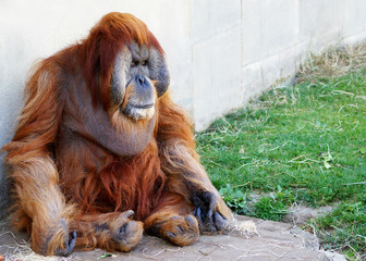 captivité © photlook