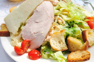 Fresh  salad with tomatoes