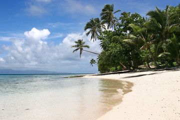 Weißer Sandstrand, Palmen und Meer