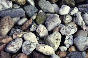 Kieselsteine