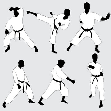 Karate pose