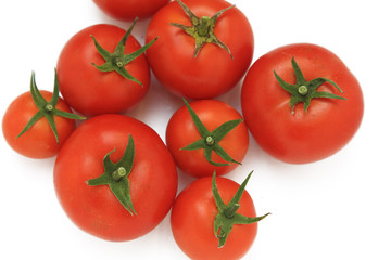 tomato