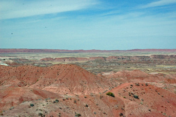 Fototapeta na wymiar Petrified Forest Landscape - Arizona