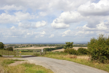 landscape with cattle grid
