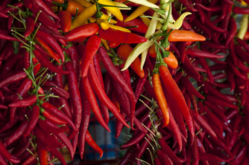 paprika rot  gelb querformat