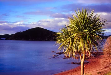 Deurstickers Bay of Islands - New Zealand © Wirepec