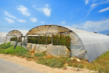 high tunnels