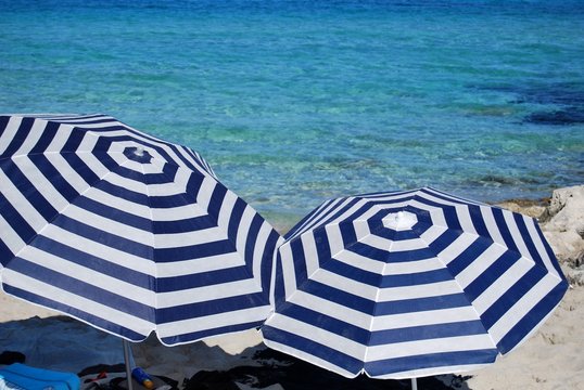 mare