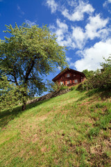 Fototapeta na wymiar Swiss Mountain Home