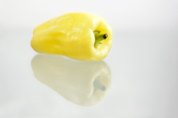 one yellow bell pepper on grey gradient background