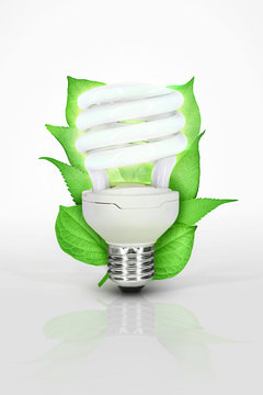 Ampoule écologique basse consommation