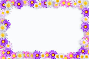 color of lotus frame.