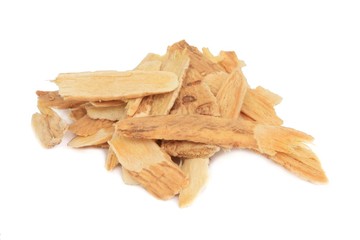 Astragalus