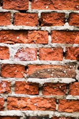 Obraz premium wall