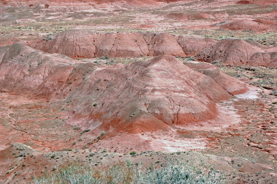 Petrified Forest Landscape - Arizona